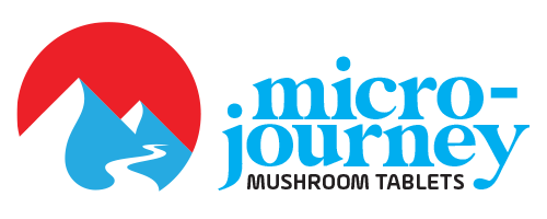 Micro-Journey